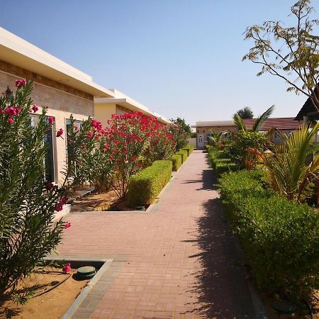 Almorouj Farm Inn - Badīyah Εξωτερικό φωτογραφία