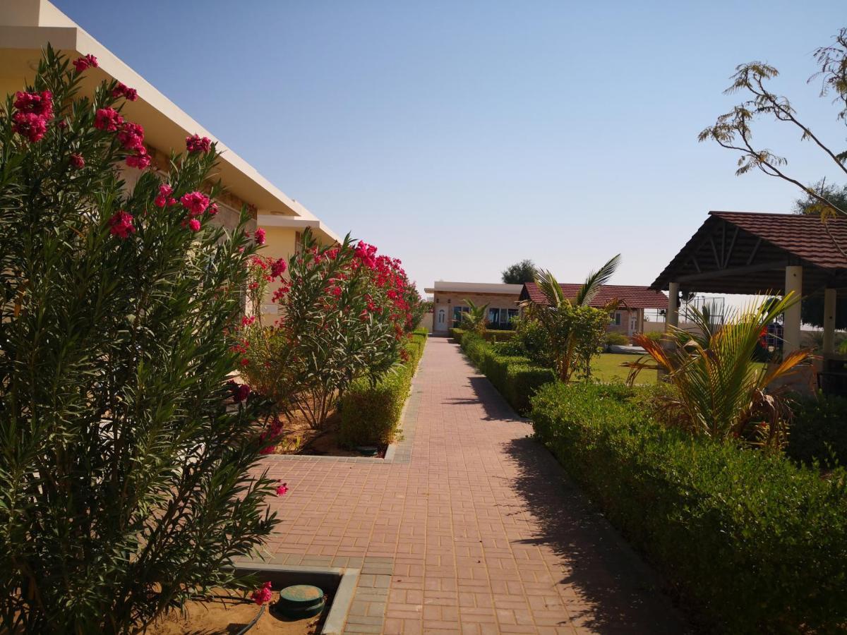 Almorouj Farm Inn - Badīyah Εξωτερικό φωτογραφία
